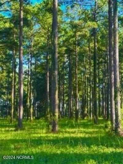 Residential Land For Rent in Oriental, North Carolina