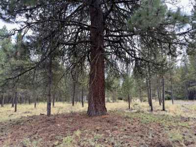 Residential Land For Sale in Bend, Oregon