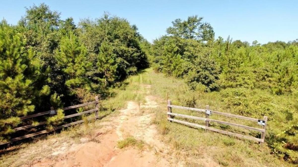 Picture of Residential Land For Sale in Davisboro, Georgia, United States