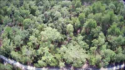 Residential Land For Rent in Satsuma, Florida