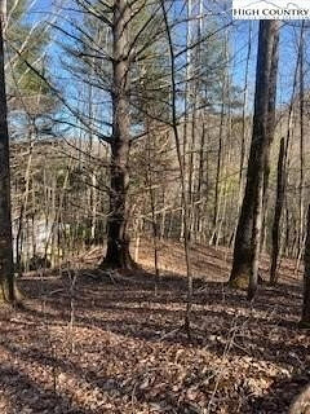 Picture of Residential Land For Sale in Boone, North Carolina, United States