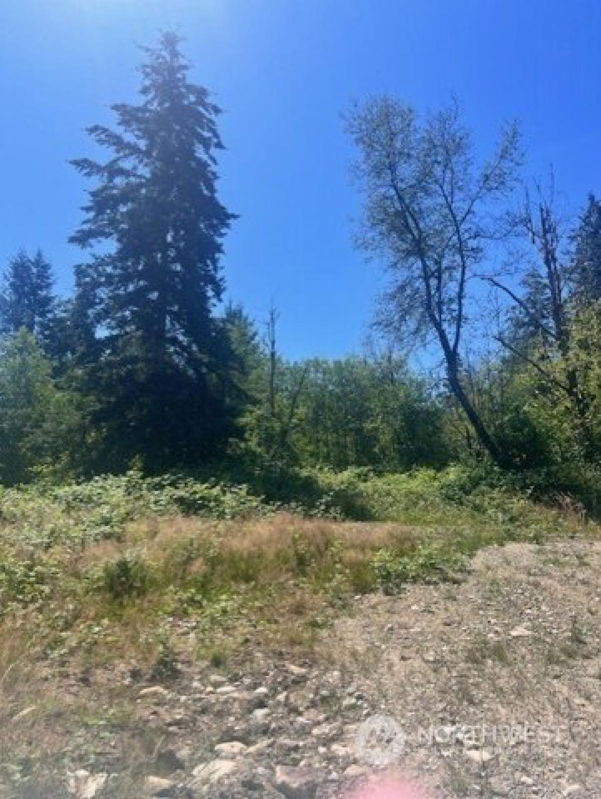 Picture of Residential Land For Sale in Maple Valley, Washington, United States