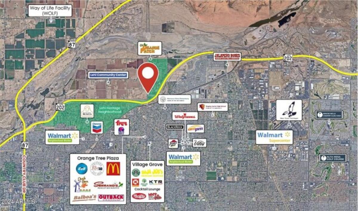 Picture of Residential Land For Rent in Mesa, Arizona, United States