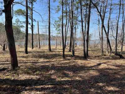 Residential Land For Sale in Brookeland, Texas