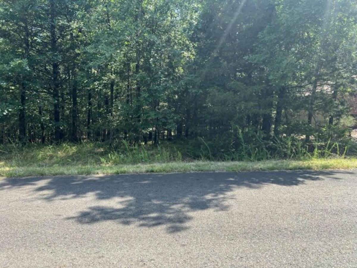 Picture of Residential Land For Rent in Hot Springs Village, Arkansas, United States