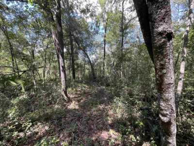 Residential Land For Sale in