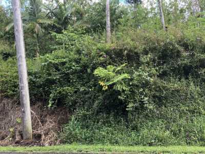 Residential Land For Sale in Pahoa, Hawaii