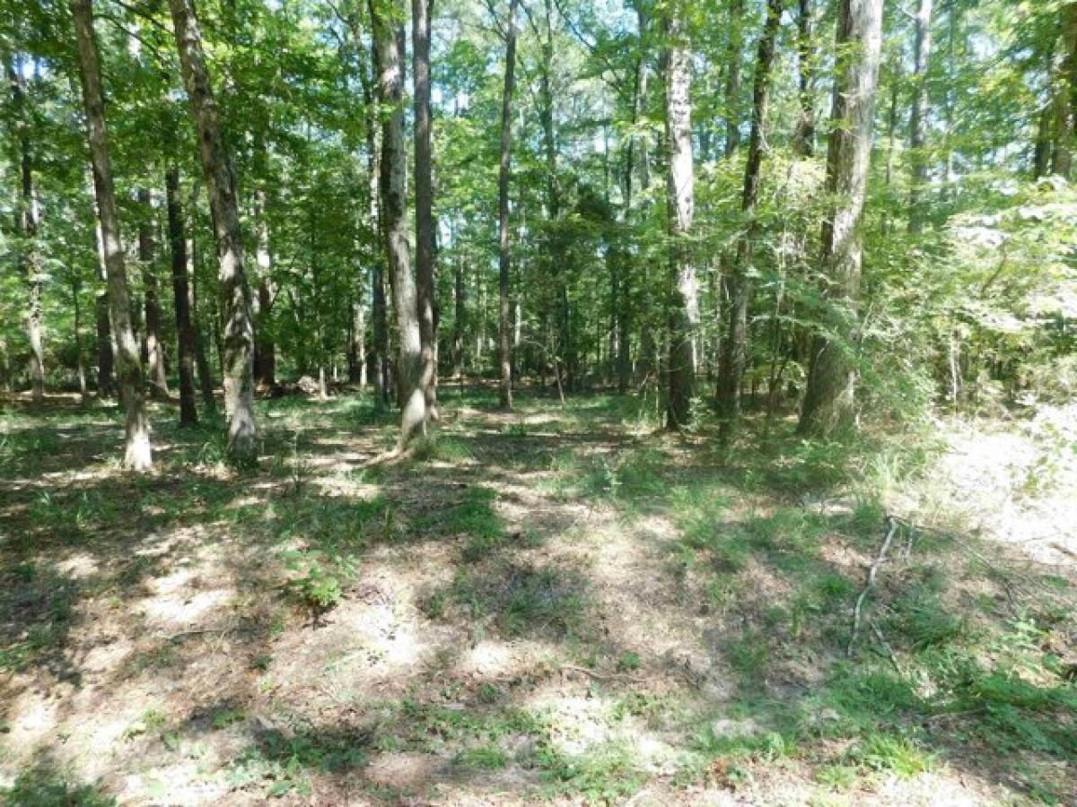 Picture of Residential Land For Rent in Hemphill, Texas, United States
