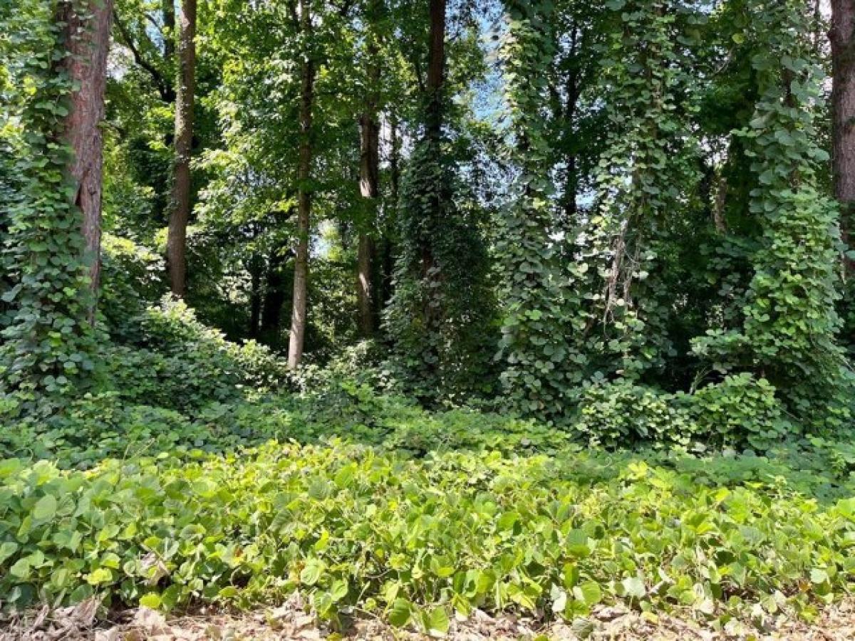 Picture of Residential Land For Rent in Columbia, South Carolina, United States