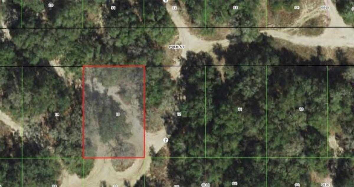 Picture of Residential Land For Rent in Inverness, Florida, United States