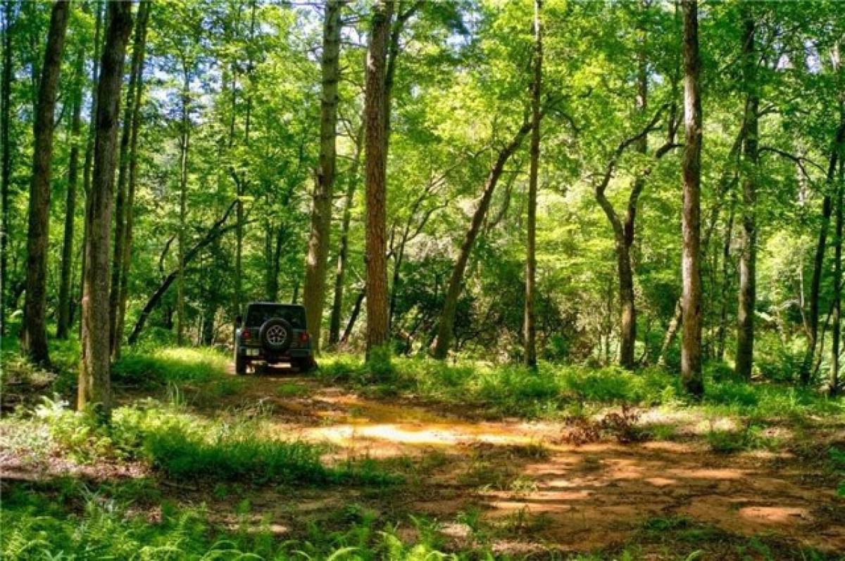 Picture of Residential Land For Sale in Dahlonega, Georgia, United States