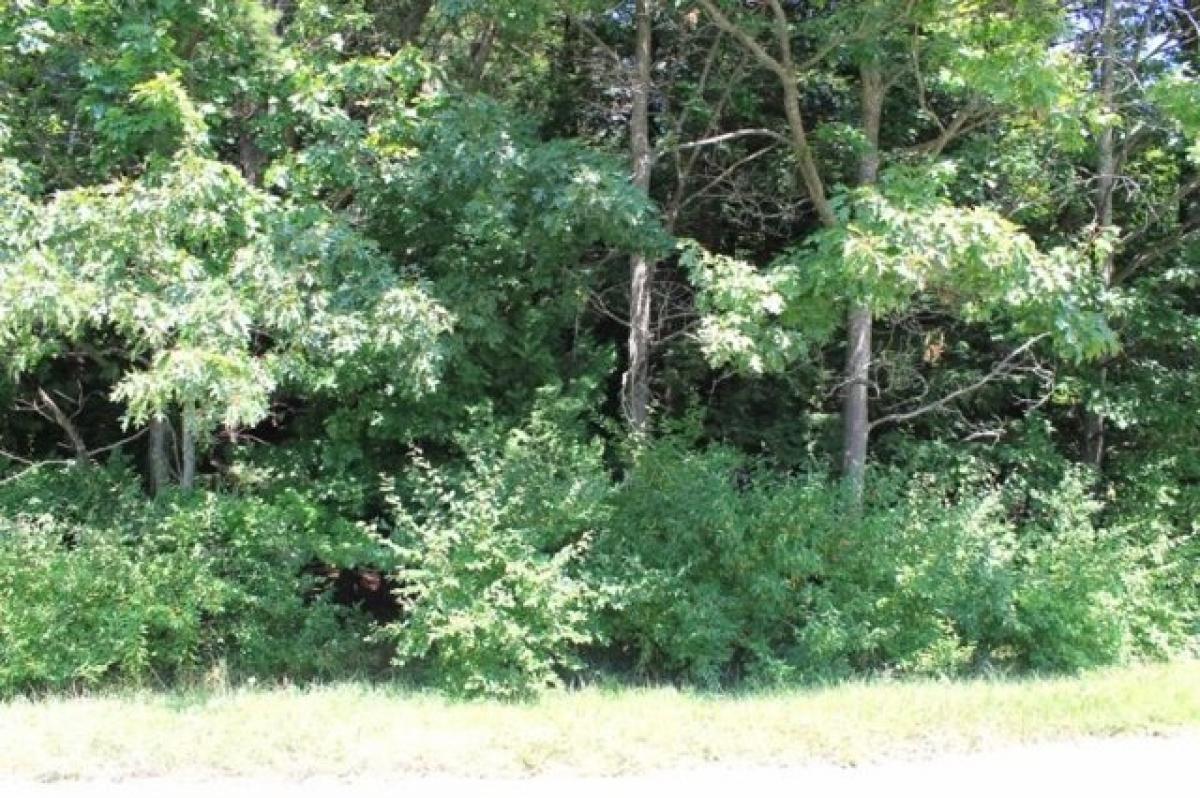 Picture of Residential Land For Rent in Harrisville, Michigan, United States