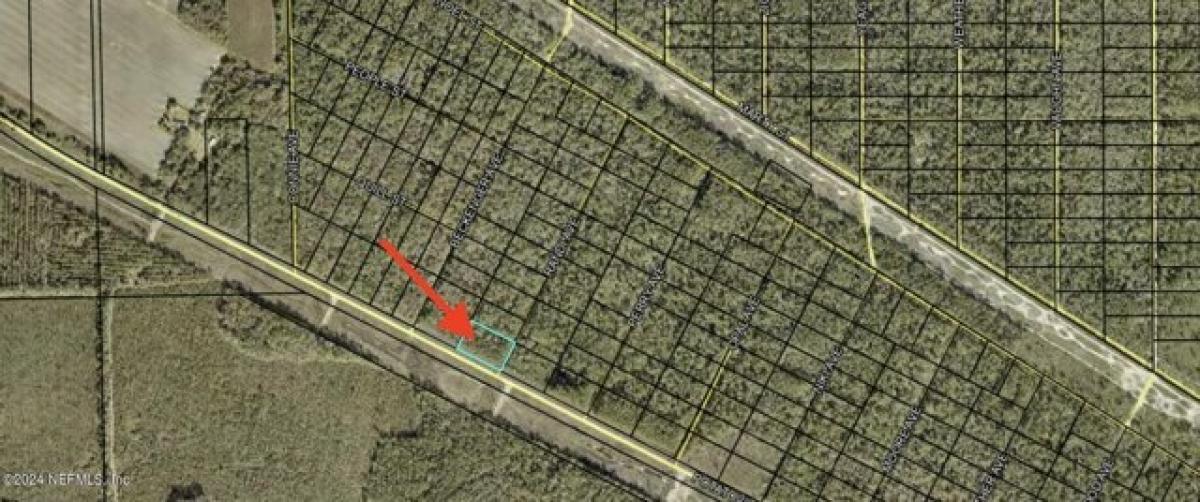 Picture of Residential Land For Rent in Hastings, Florida, United States