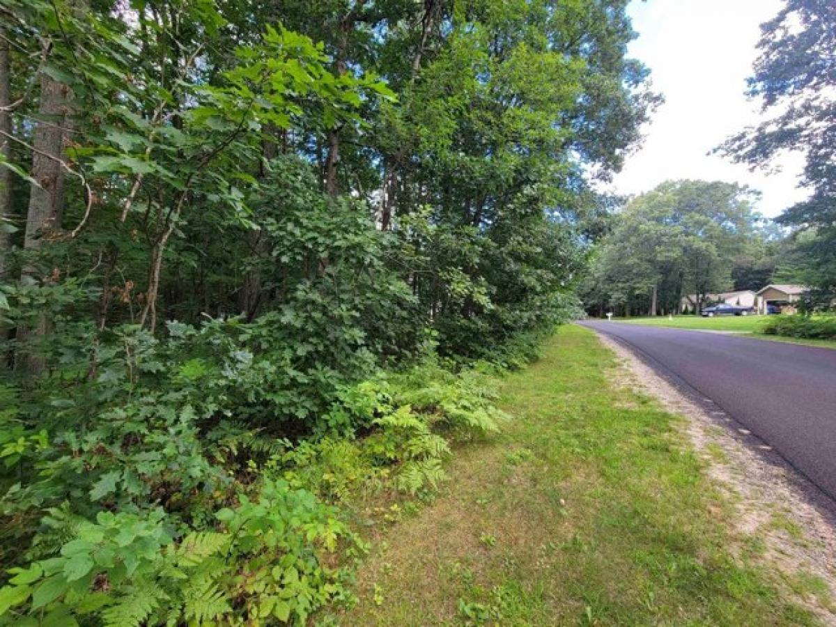 Picture of Residential Land For Rent in Houghton Lake, Michigan, United States