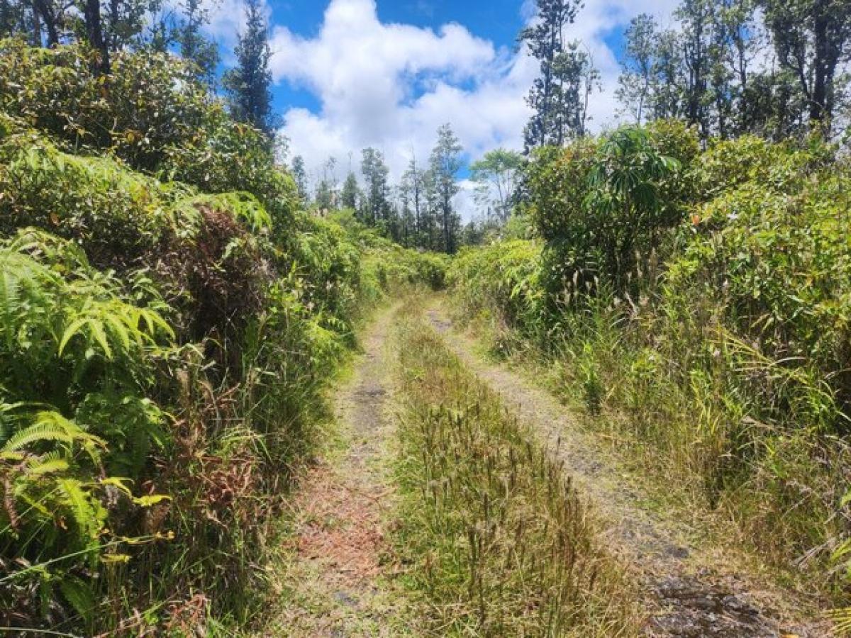 Picture of Residential Land For Sale in Kurtistown, Hawaii, United States