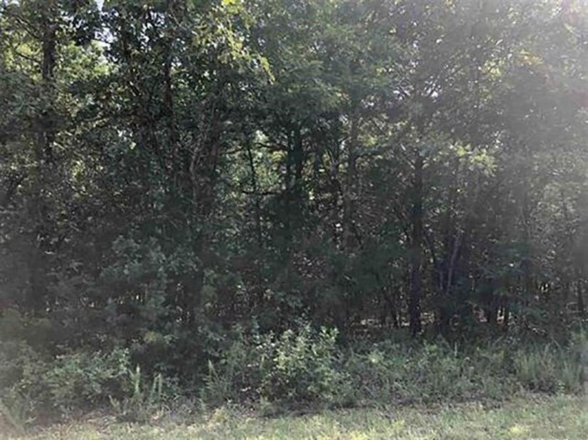 Picture of Residential Land For Rent in Horseshoe Bend, Arkansas, United States