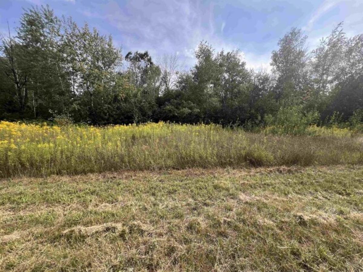 Picture of Residential Land For Sale in Wisconsin Rapids, Wisconsin, United States