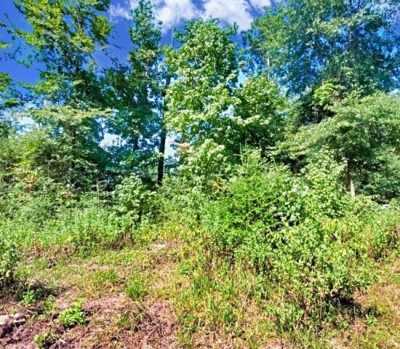 Residential Land For Sale in