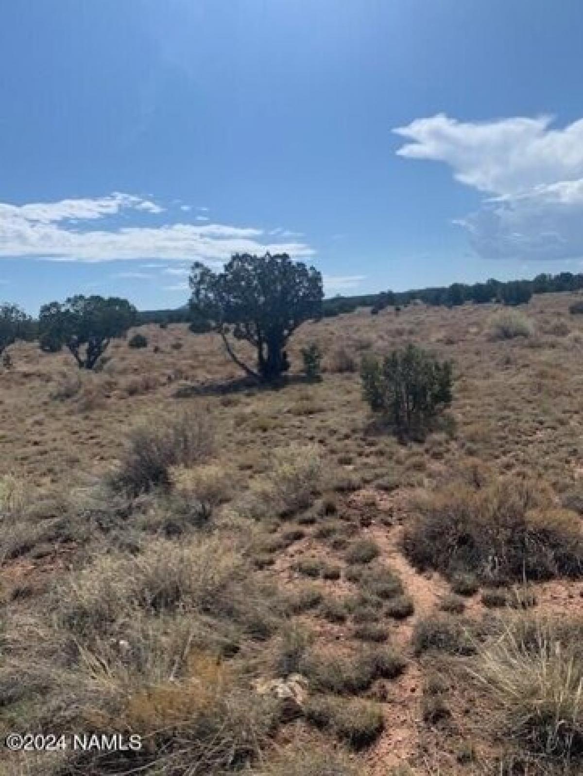 Picture of Residential Land For Rent in Williams, Arizona, United States