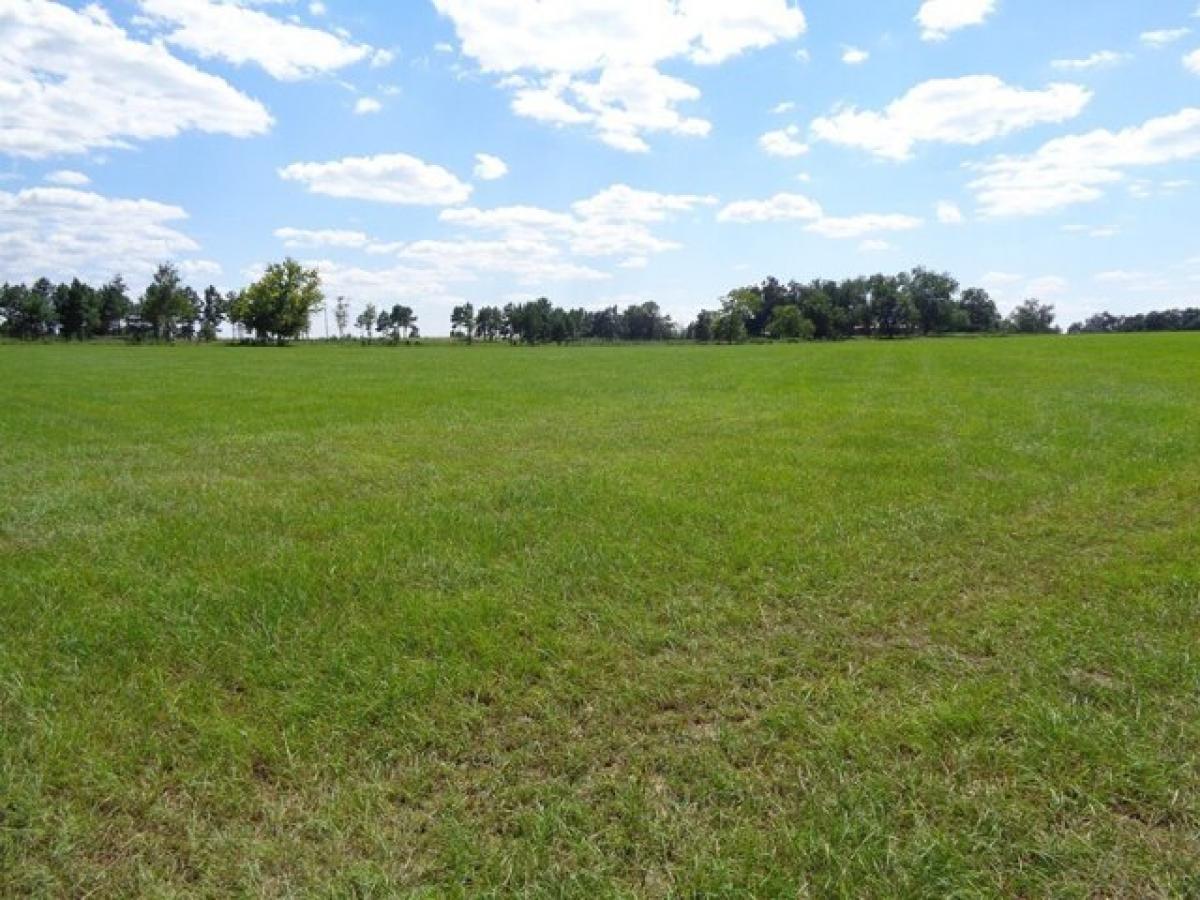 Picture of Residential Land For Sale in Blakely, Georgia, United States