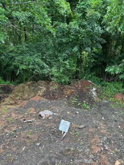 Residential Land For Sale in Suffolk, Virginia