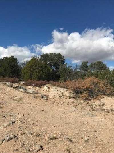 Residential Land For Rent in Edgewood, New Mexico
