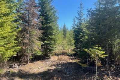 Residential Land For Sale in Sandpoint, Idaho