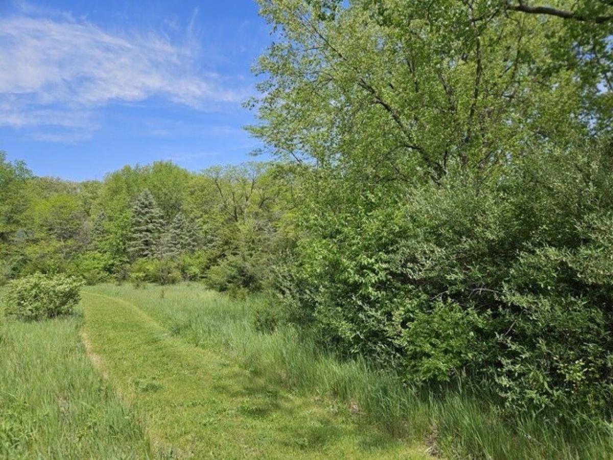 Picture of Residential Land For Rent in Dixon, Illinois, United States