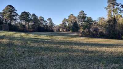 Residential Land For Sale in Brookeland, Texas
