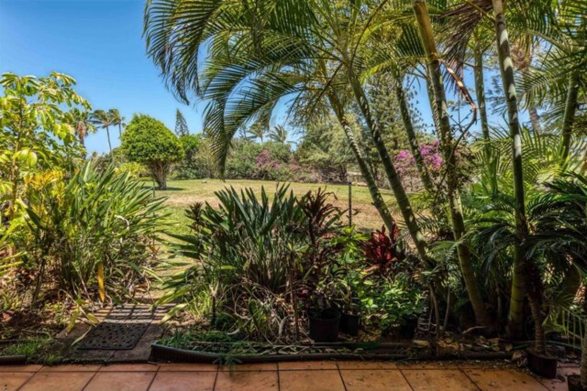Picture of Home For Sale in Maunaloa, Hawaii, United States