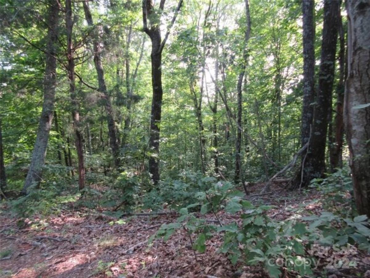 Picture of Residential Land For Rent in Bostic, North Carolina, United States