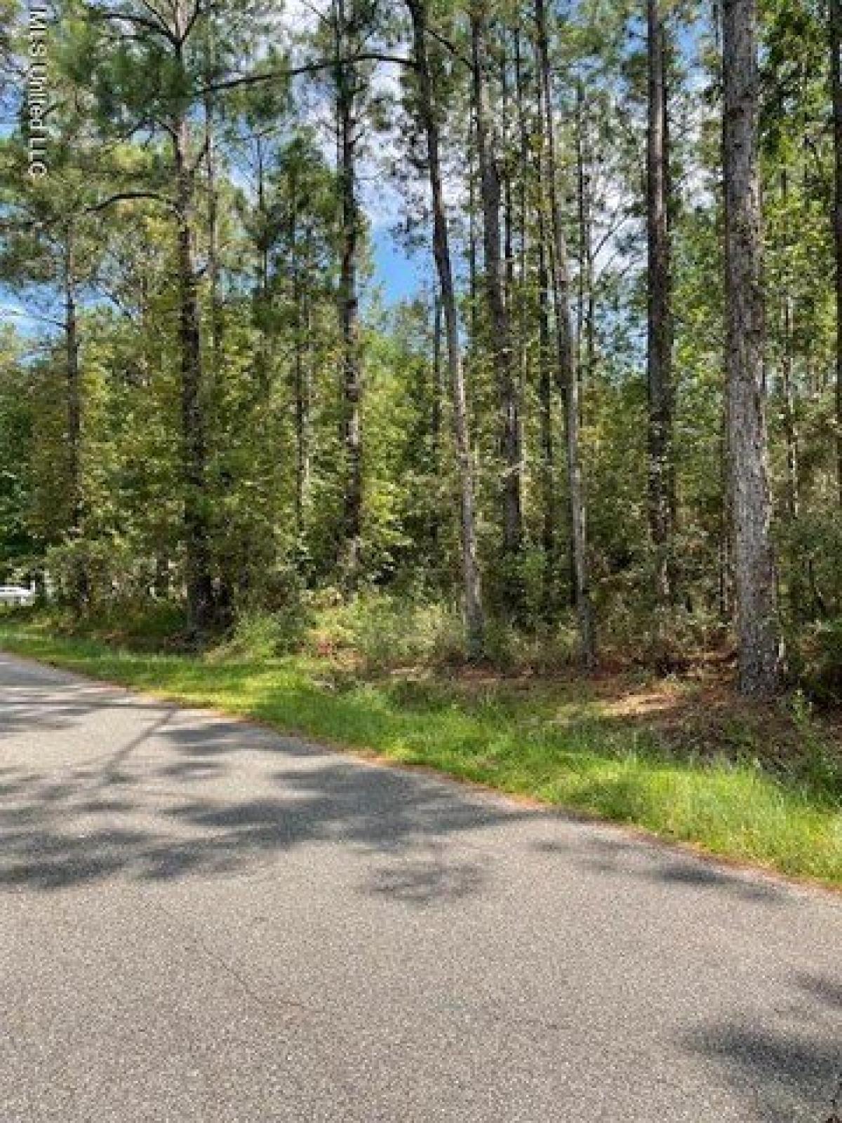 Picture of Residential Land For Rent in Bay Saint Louis, Mississippi, United States