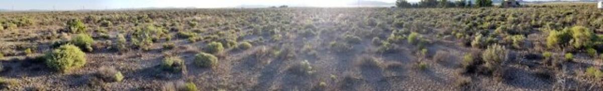 Picture of Residential Land For Rent in Beryl, Utah, United States