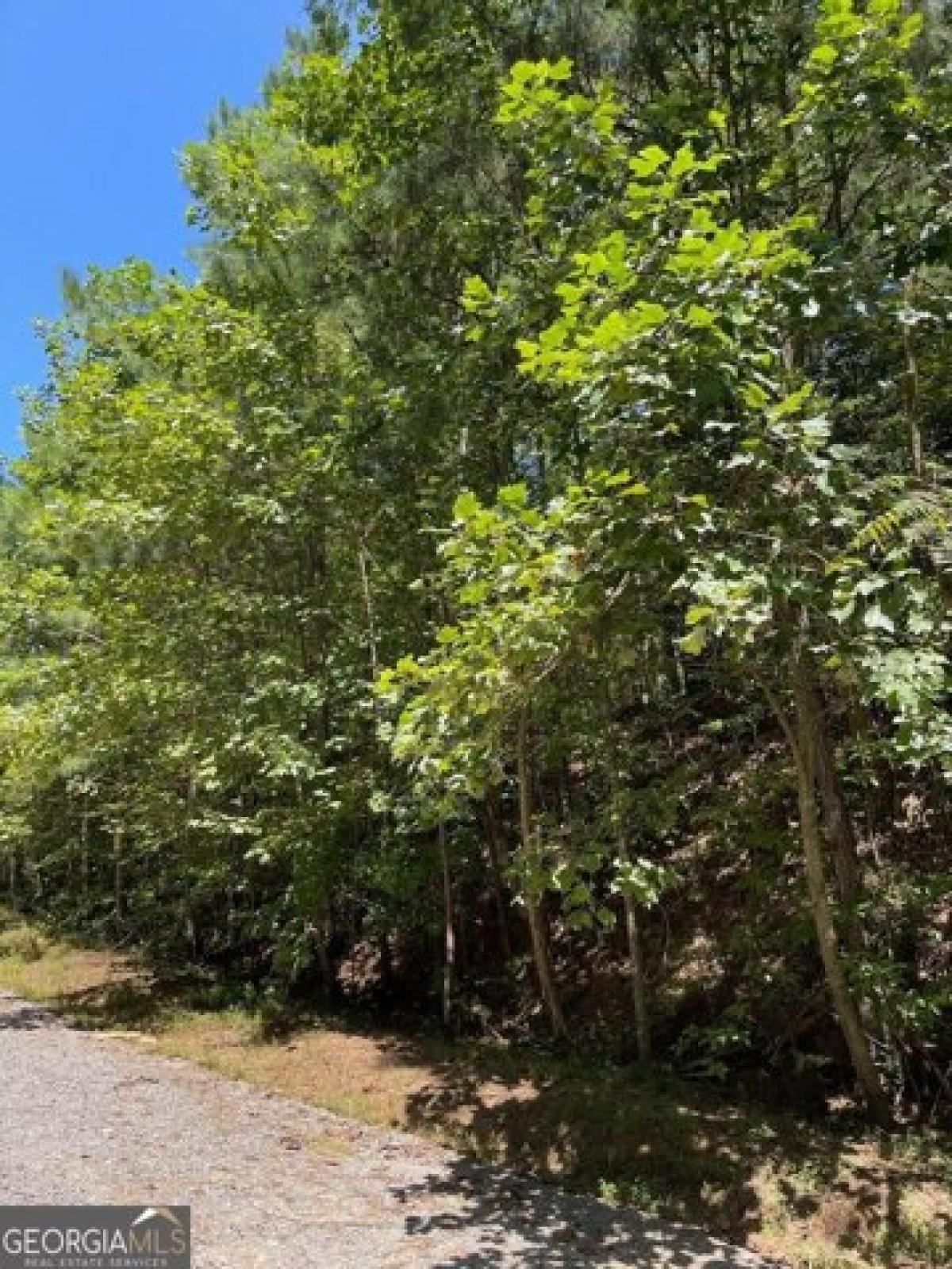 Picture of Residential Land For Sale in Talking Rock, Georgia, United States