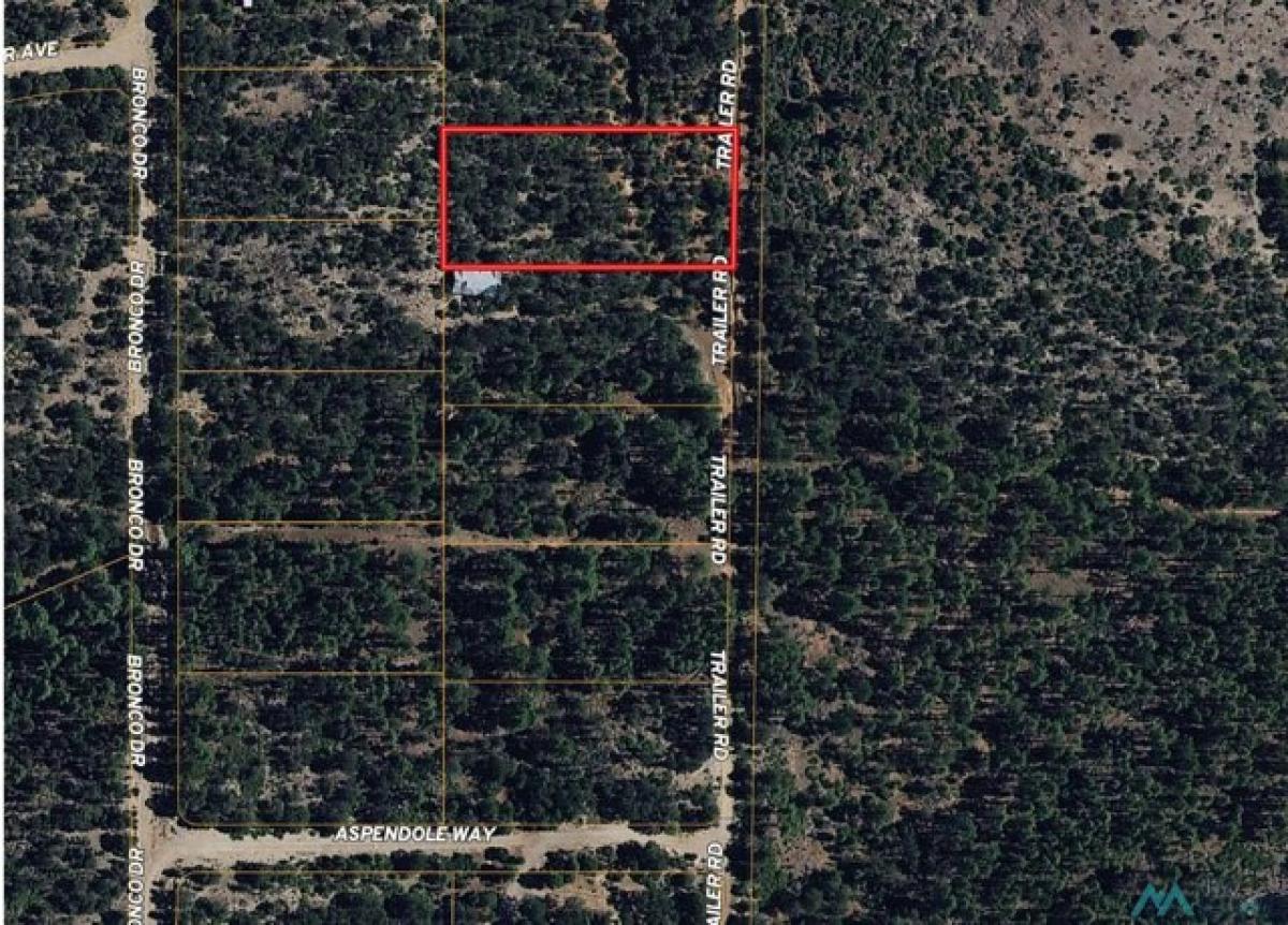 Picture of Residential Land For Rent in Timberon, New Mexico, United States