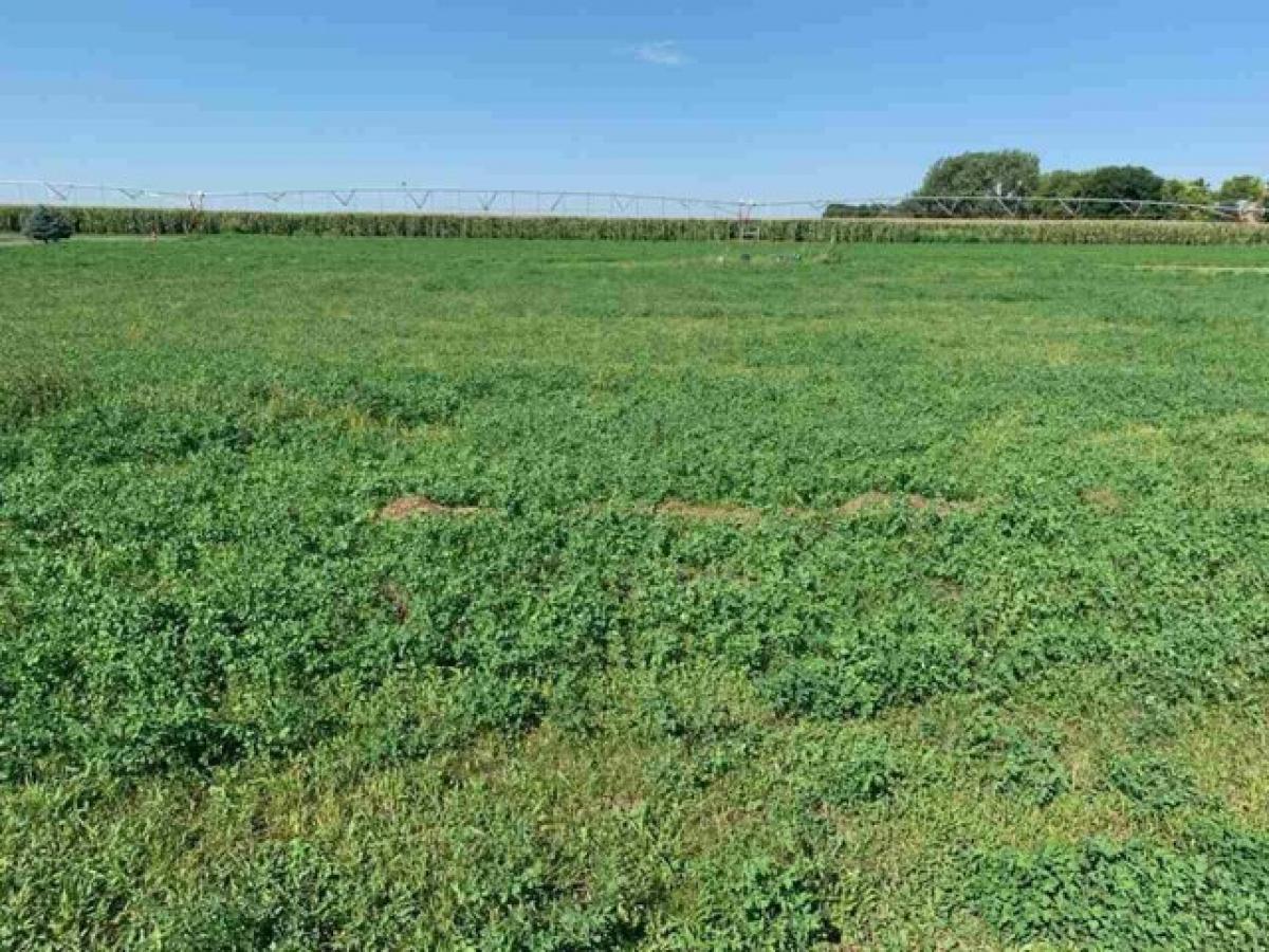 Picture of Residential Land For Sale in Minden, Nebraska, United States