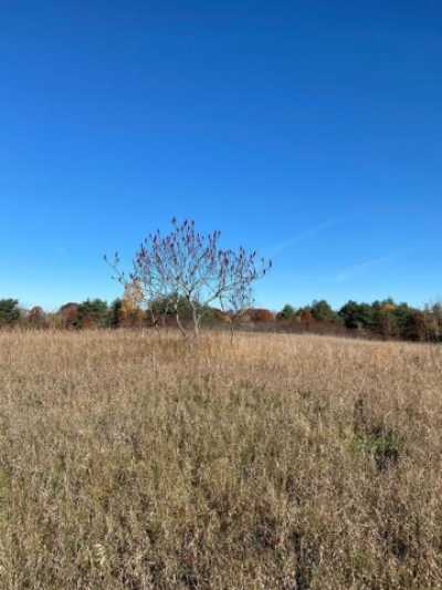 Residential Land For Sale in Grand Junction, Michigan