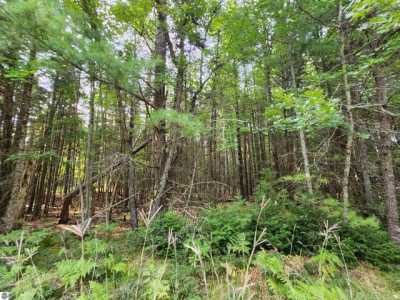 Residential Land For Sale in Roscommon, Michigan