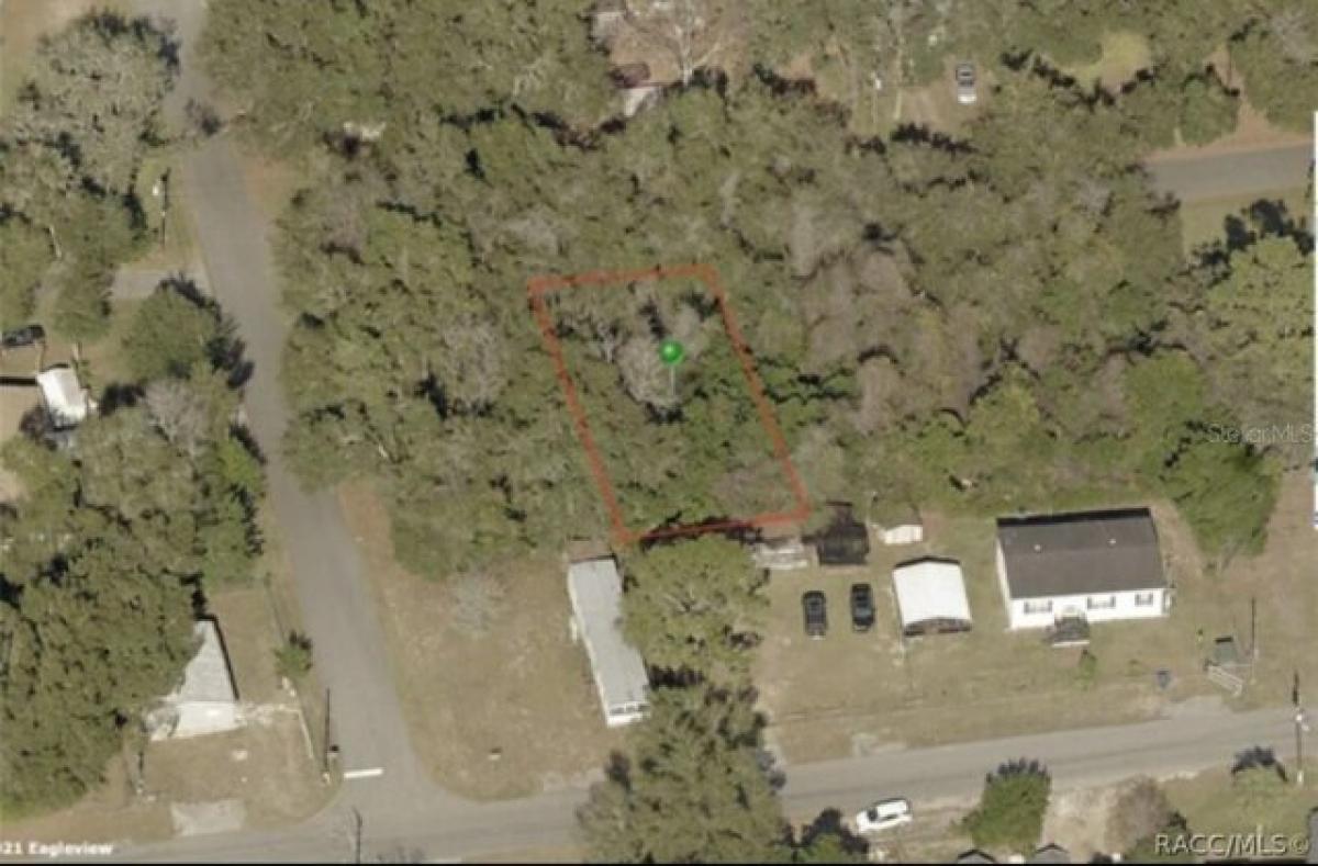 Picture of Residential Land For Rent in Hernando, Florida, United States