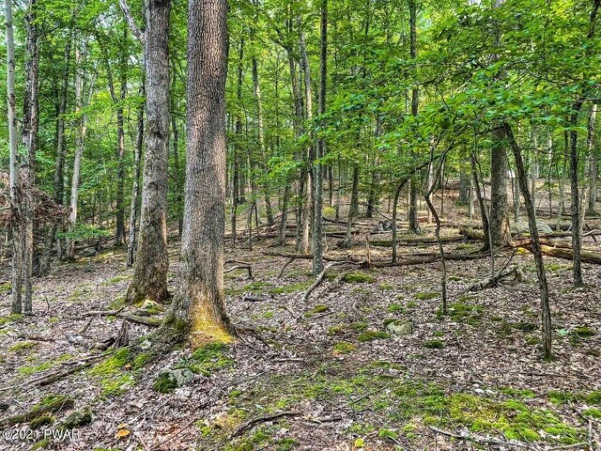 Picture of Residential Land For Rent in Tafton, Pennsylvania, United States