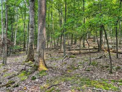 Residential Land For Rent in Tafton, Pennsylvania