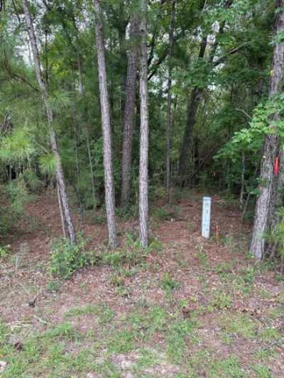 Residential Land For Sale in Brookeland, Texas