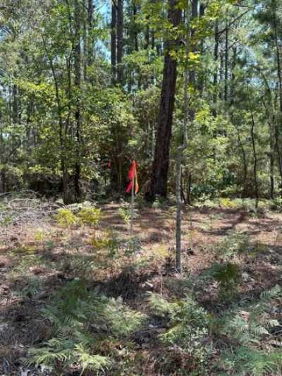 Residential Land For Sale in Brookeland, Texas