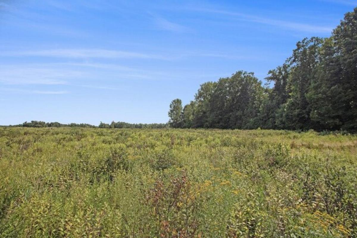 Picture of Residential Land For Sale in Grand Junction, Michigan, United States