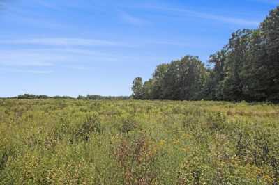 Residential Land For Sale in Grand Junction, Michigan