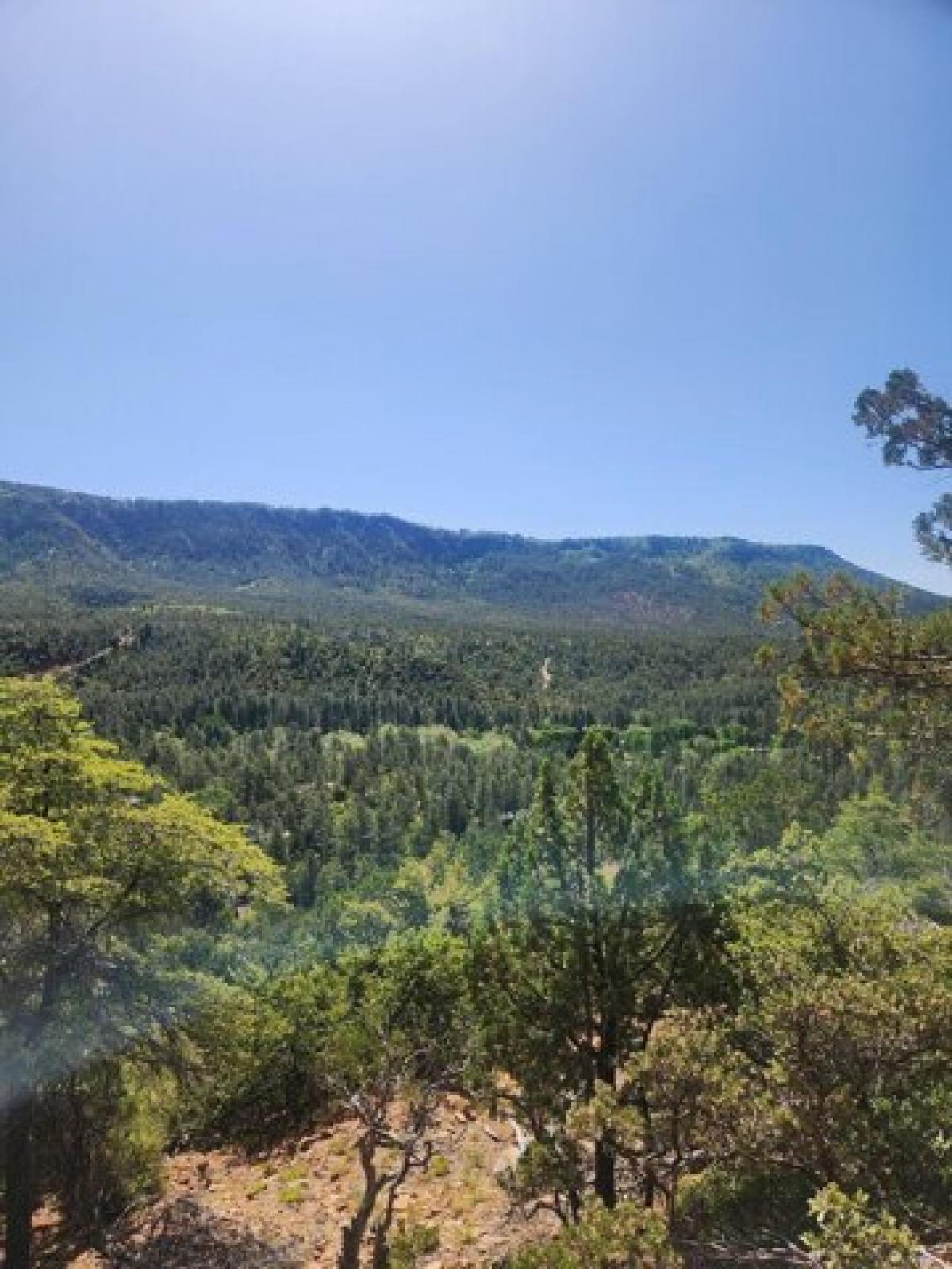 Picture of Residential Land For Sale in Pine, Arizona, United States