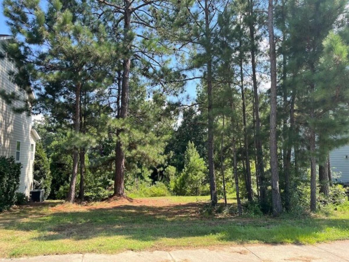 Picture of Residential Land For Rent in Blythewood, South Carolina, United States