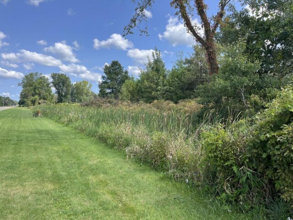 Picture of Residential Land For Sale in Dowagiac, Michigan, United States
