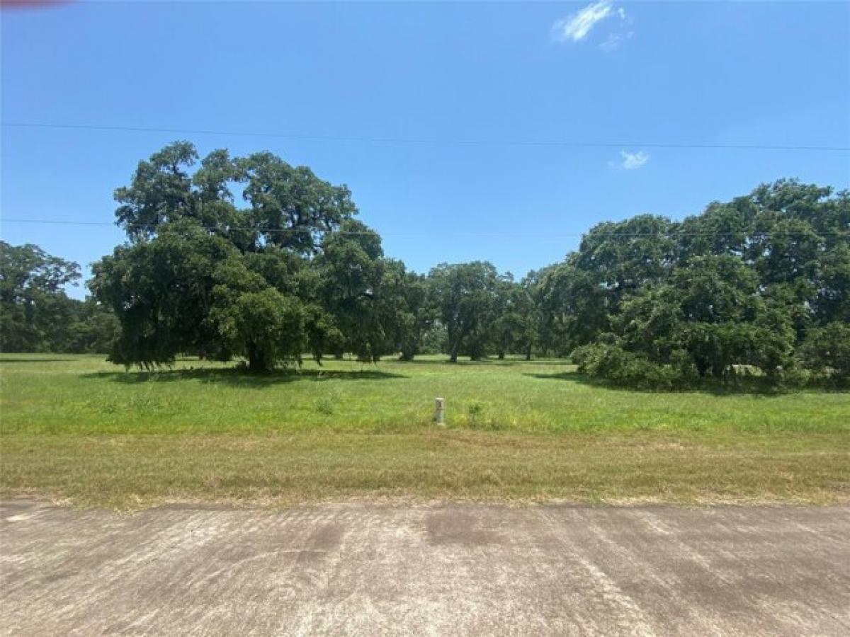 Picture of Residential Land For Sale in Angleton, Texas, United States