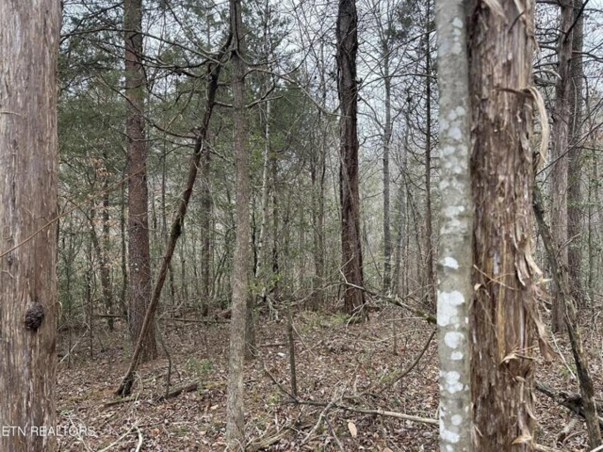 Picture of Residential Land For Sale in Newport, Tennessee, United States